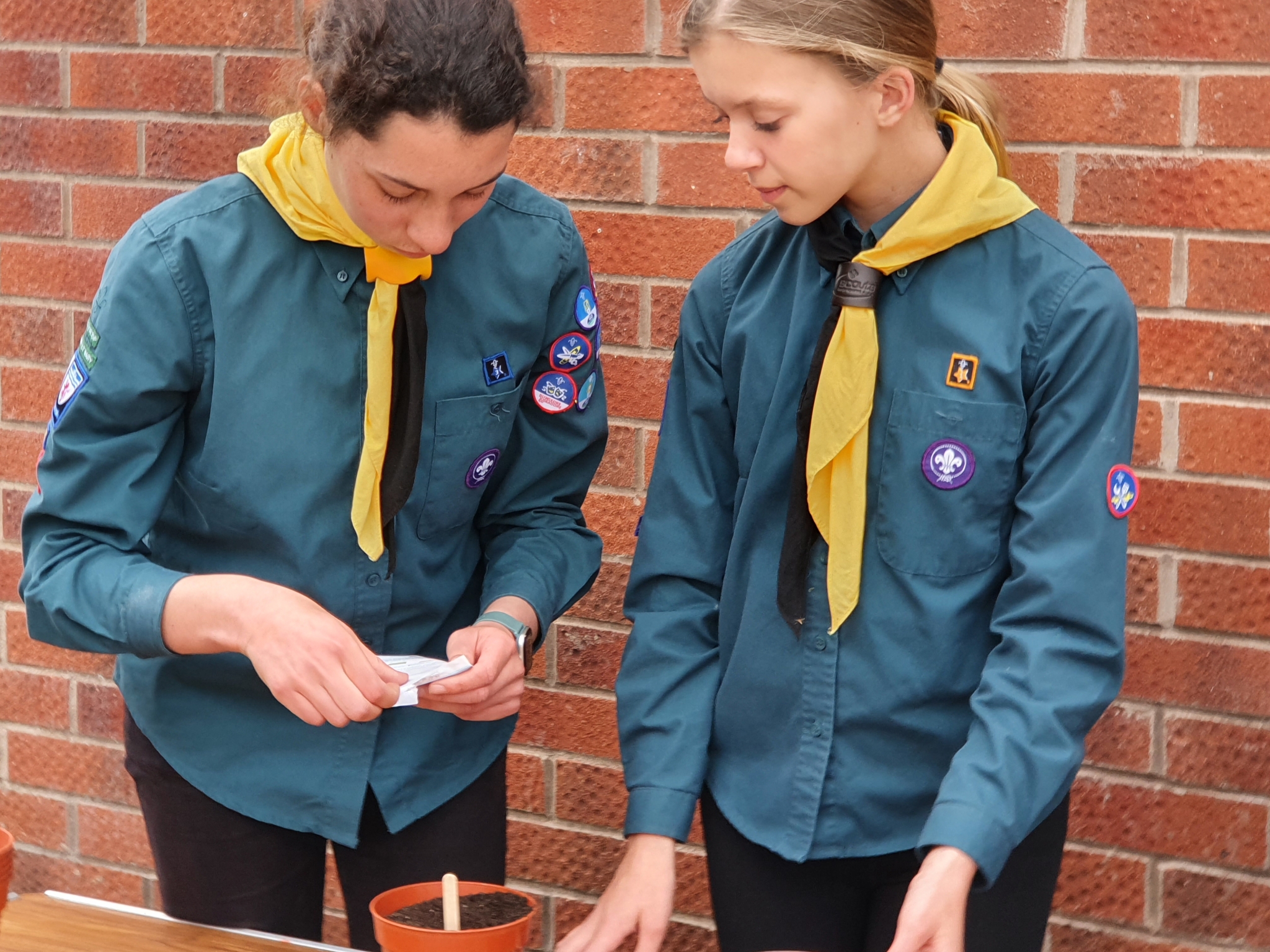 3 Orla and Ava getting ready to plant the seeds Ottery St Mary Scouts