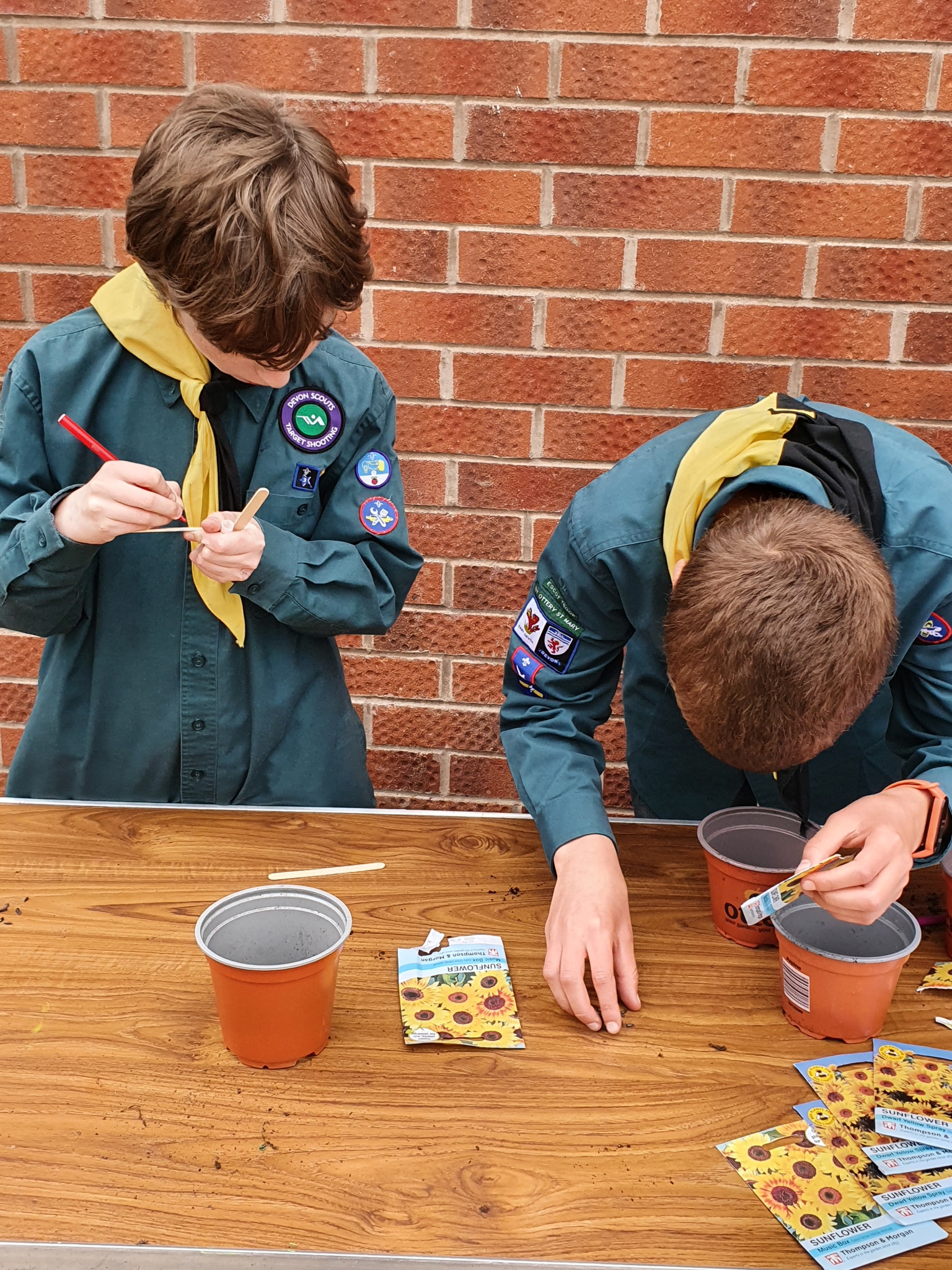 4 Nathaniel and Rowan sorting seeds Ottery St Mary Scouts