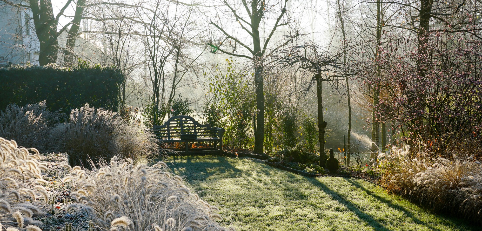 Winter Frosty Garden
