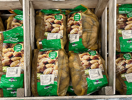 Potatoes - main crop