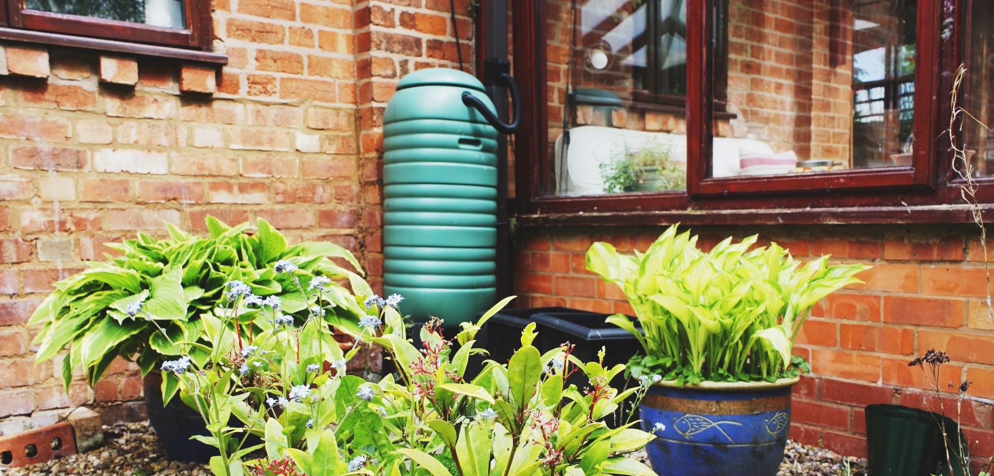 Waterbutt-in-garden-cropped