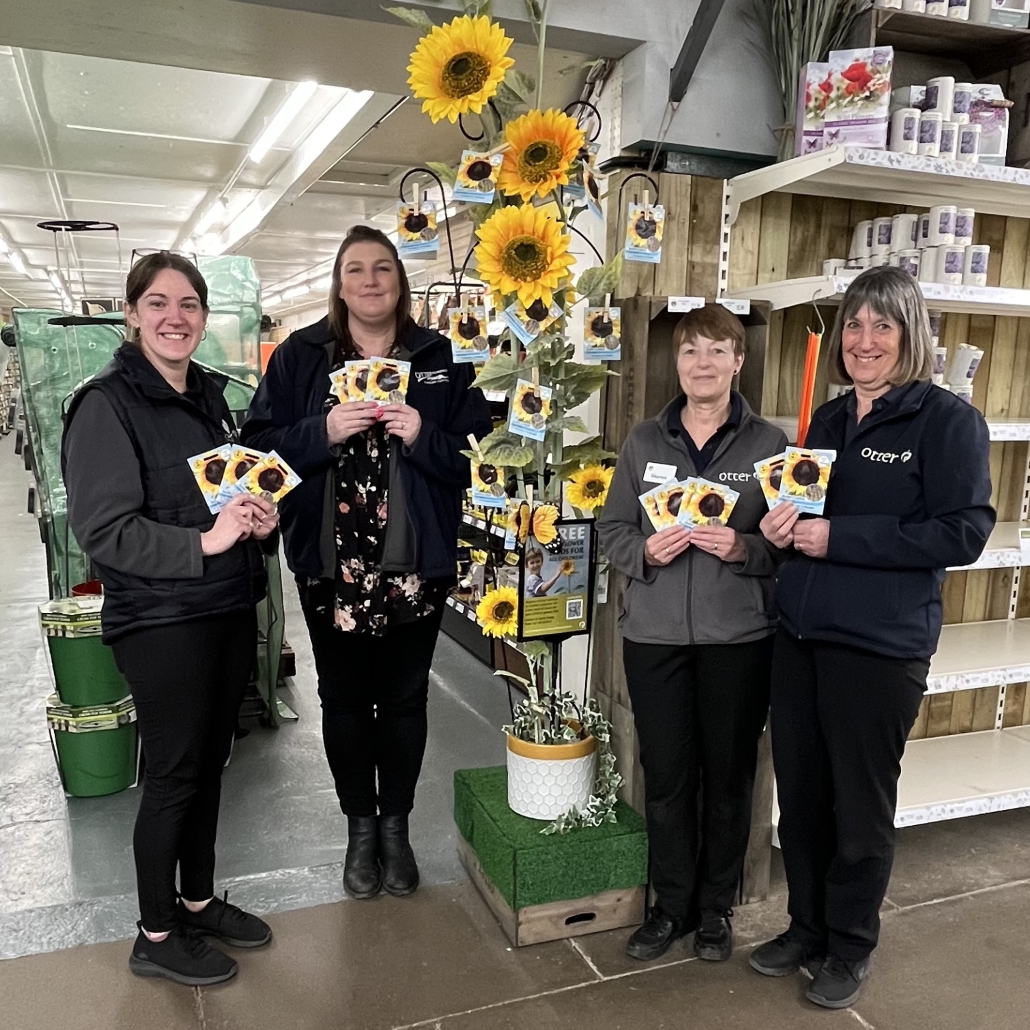 Free sunflower seeds - Otter