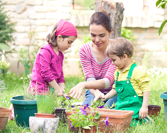 Gardening carosel 1