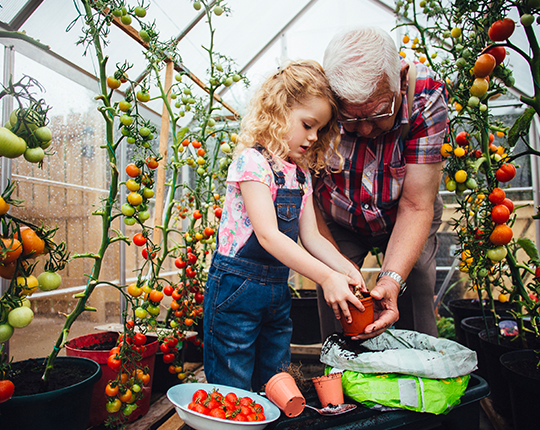 Gardening carosel 2
