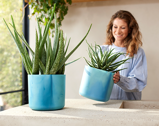 Ocean collection carosel 2