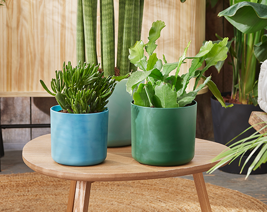 Ocean collection carosel 5