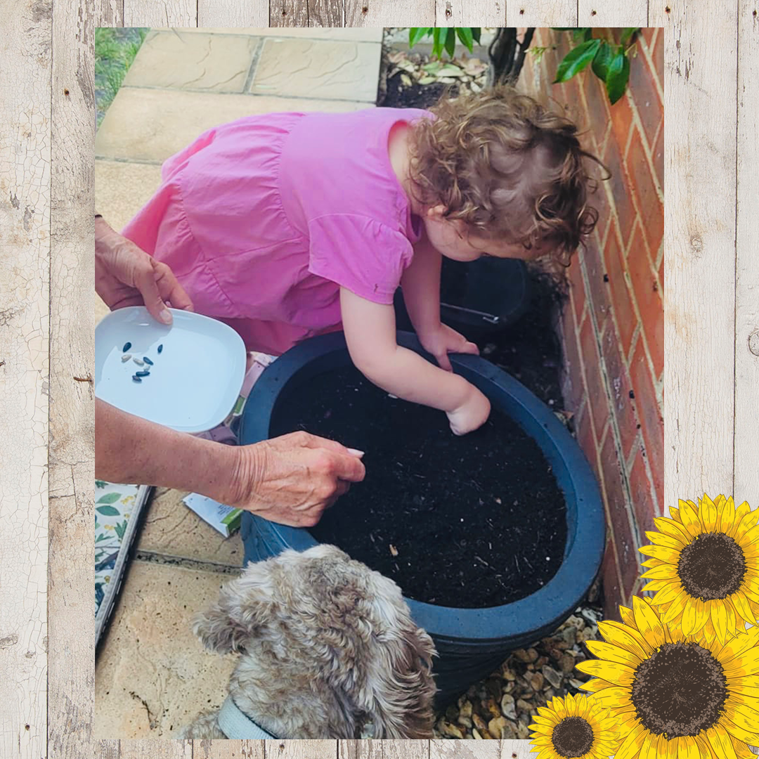 Sunflower entries FINAL 1