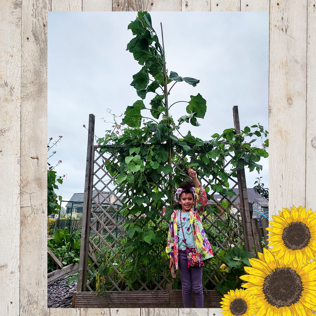 Sunflower entries FINAL 22