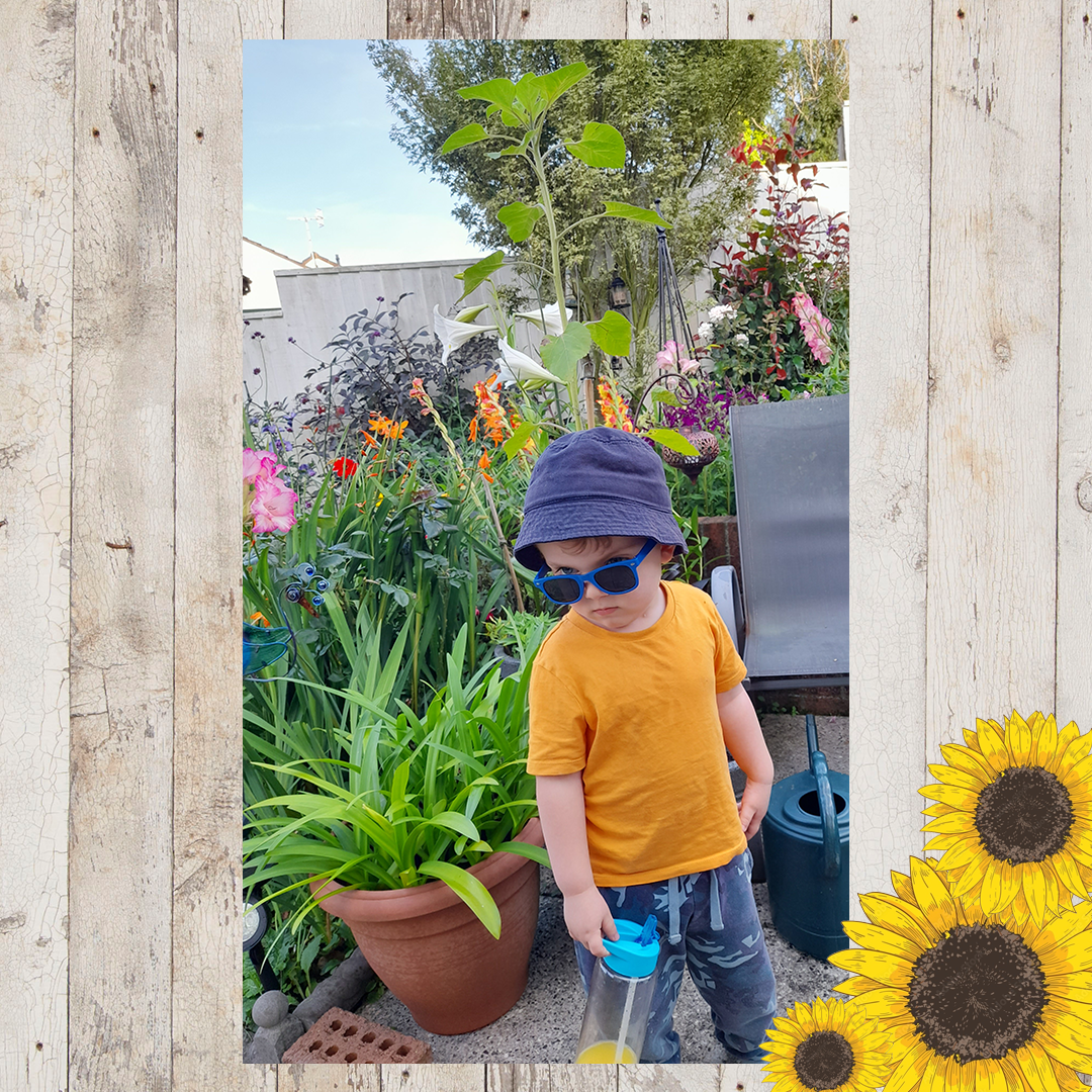 Sunflower entries FINAL 23