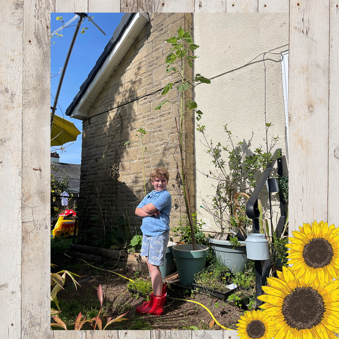 Sunflower entries FINAL 3