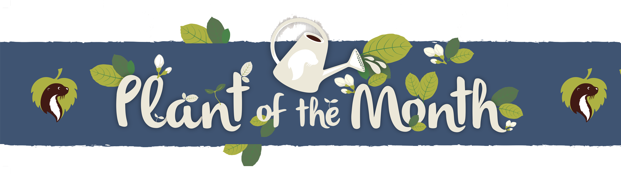 Plant of the Month header