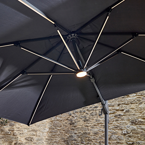 Intro - Parasol Close Up