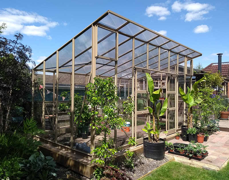 Elite Edge 800 Greenhouse