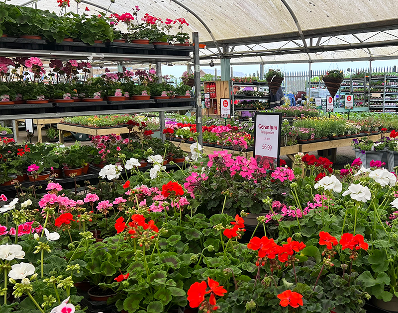 Torbay store photos 3