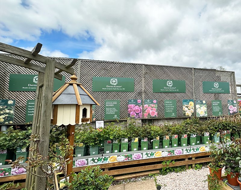 Torbay store photos 5