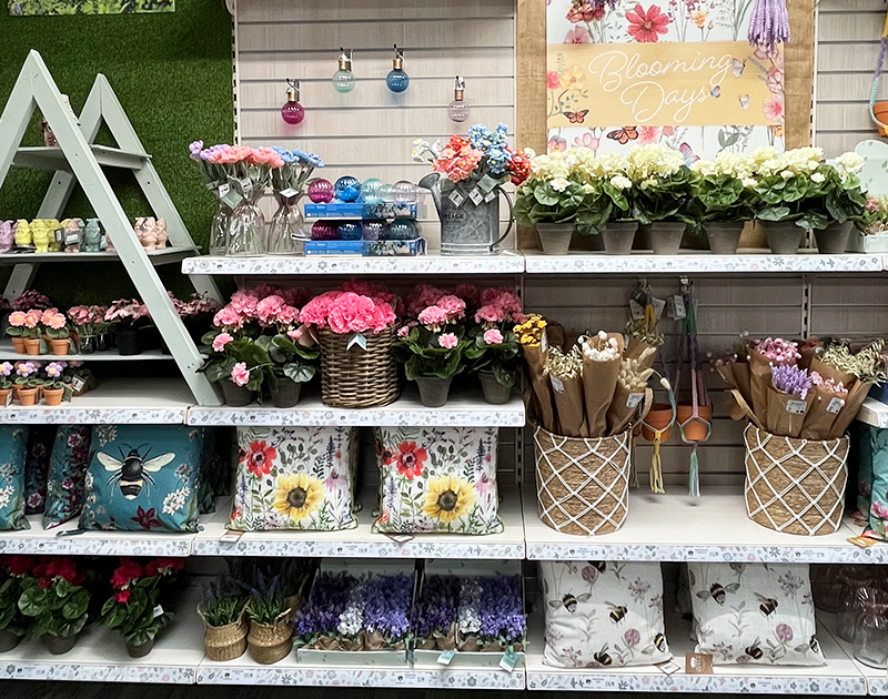 Torbay store photos 6