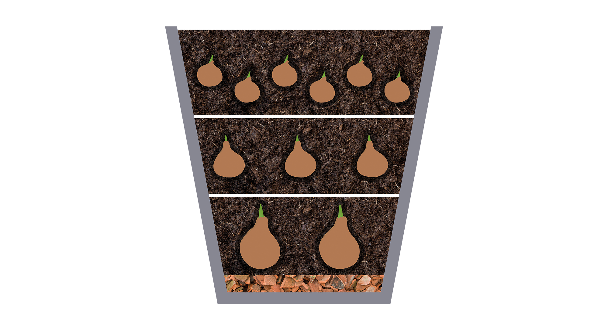 Layer Planting Example Illustration v2