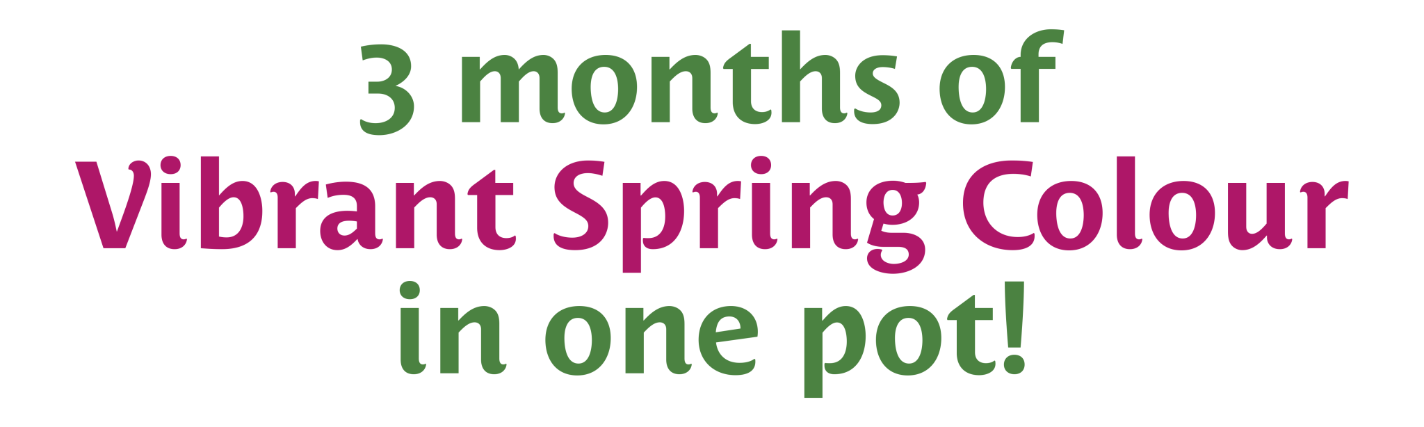 Layer Planting Header