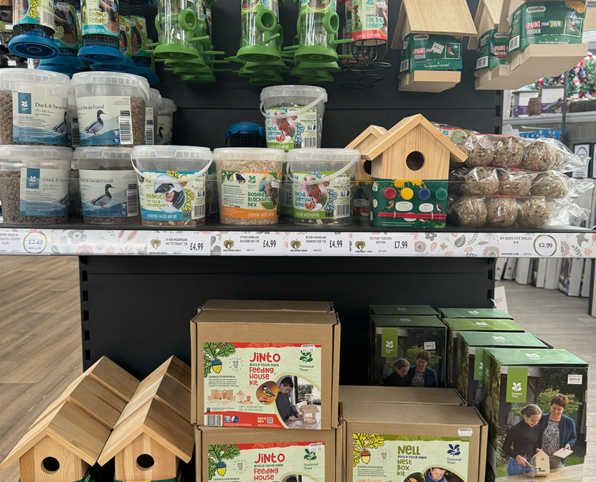 Kids Bird Section