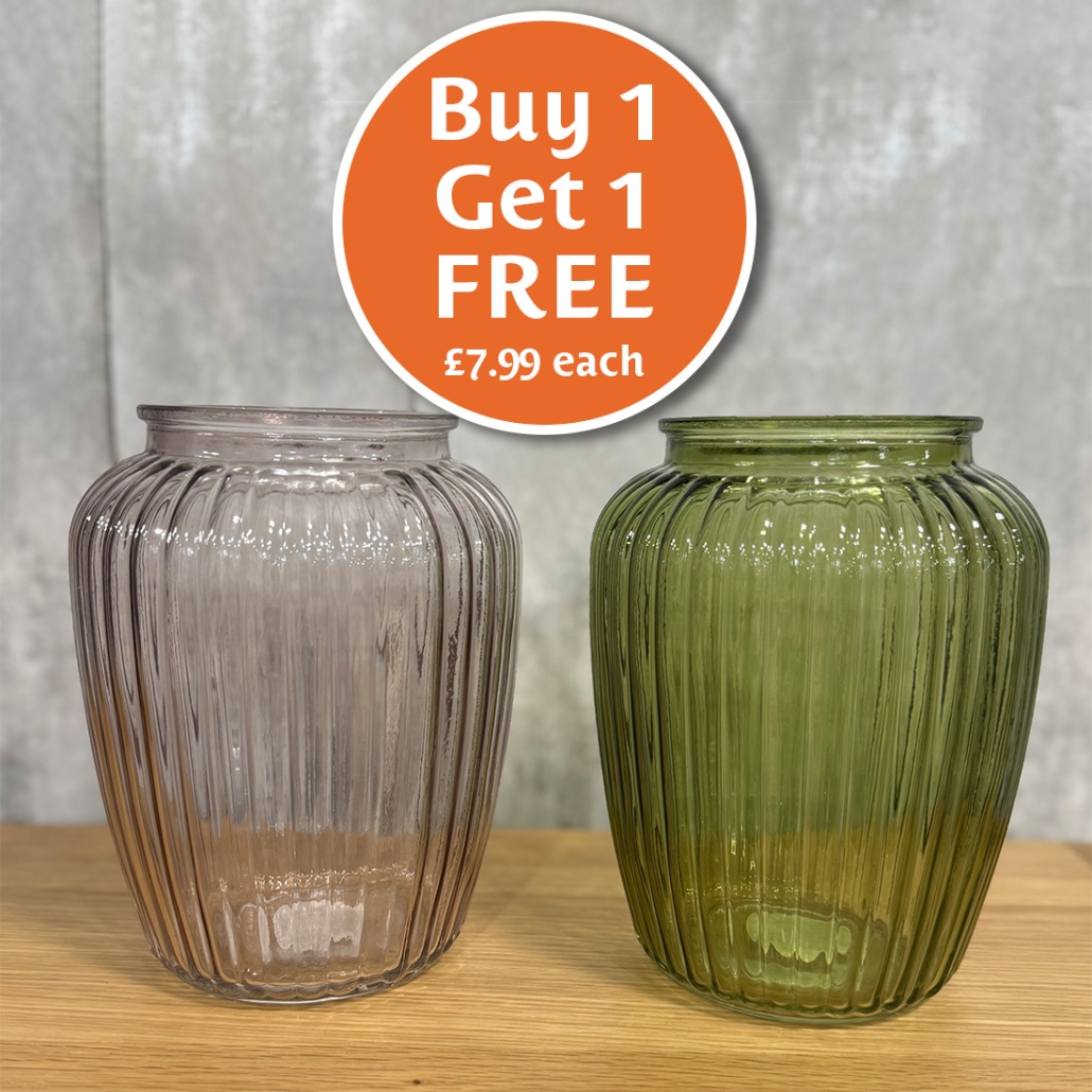 Ariana Vase Promotion 2025