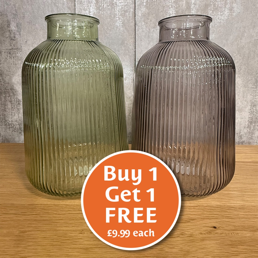 Olivia Vase Promotion 2025