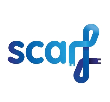 Scarf New Forest LYM COTY 2025